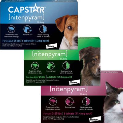 Capstar Tablets | Saddleback Animal Hospital